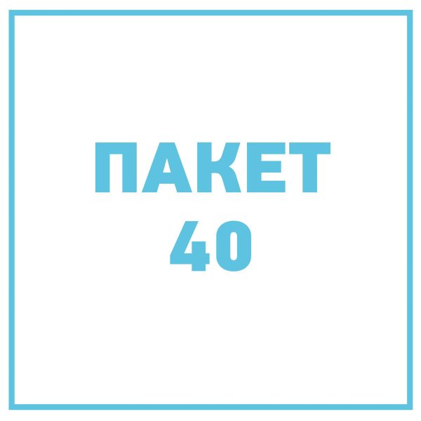 Русский педагог, один на один, 40 зан., 90 мин.